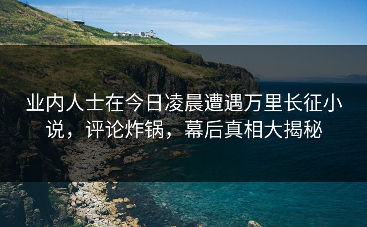 业内人士在今日凌晨遭遇万里长征小说，评论炸锅，幕后真相大揭秘