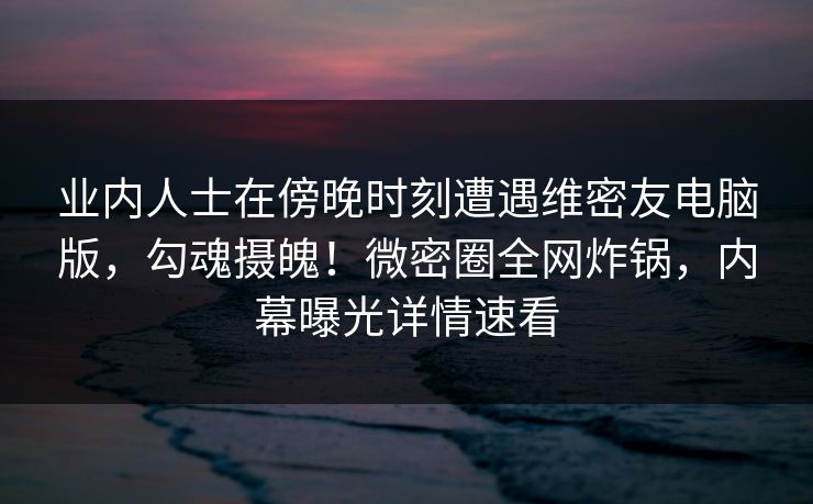 业内人士在傍晚时刻遭遇维密友电脑版，勾魂摄魄！微密圈全网炸锅，内幕曝光详情速看
