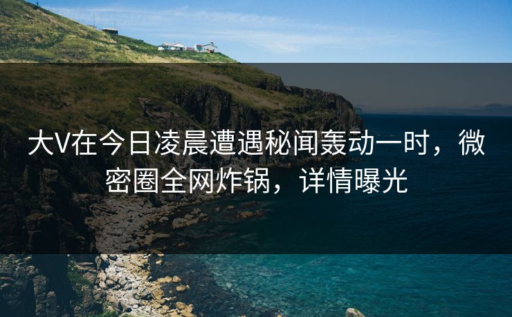 大V在今日凌晨遭遇秘闻轰动一时，微密圈全网炸锅，详情曝光