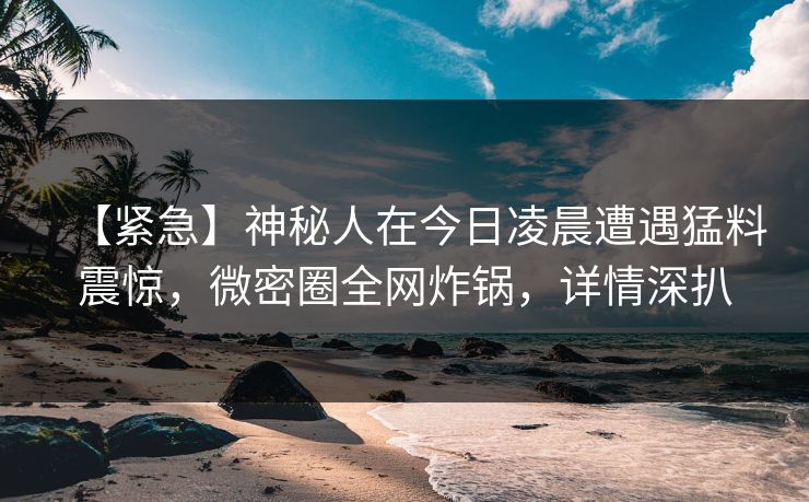 【紧急】神秘人在今日凌晨遭遇猛料震惊，微密圈全网炸锅，详情深扒